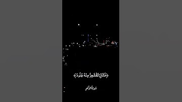 #أيات قرأن الكريم#أكتب شيء تؤجر علية #ارح_مسامعك_وقلبك_مع_تلاوه_القران💕🍃