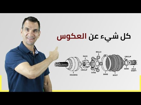 فيديو: ما هو عكس الليج؟