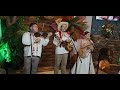 Tlacuatzin Son Huasteco | Huapango Music from Mexico