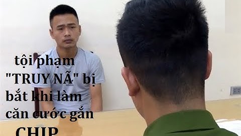 THANH NIÊN TRUY NÃ BỊ BẮT KHI LÀM CĂN CƯỚC GẮN CHIP||phân tích xàm của Lin||Lin Xàm-Giới thiệu game