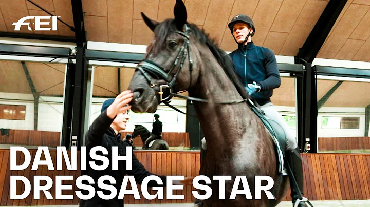 "I learned a lot about Horsemanship" - Daniel Bach...