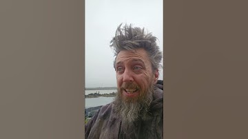 Difference between XRP, ETH, SOLANA, AND BITCOIN