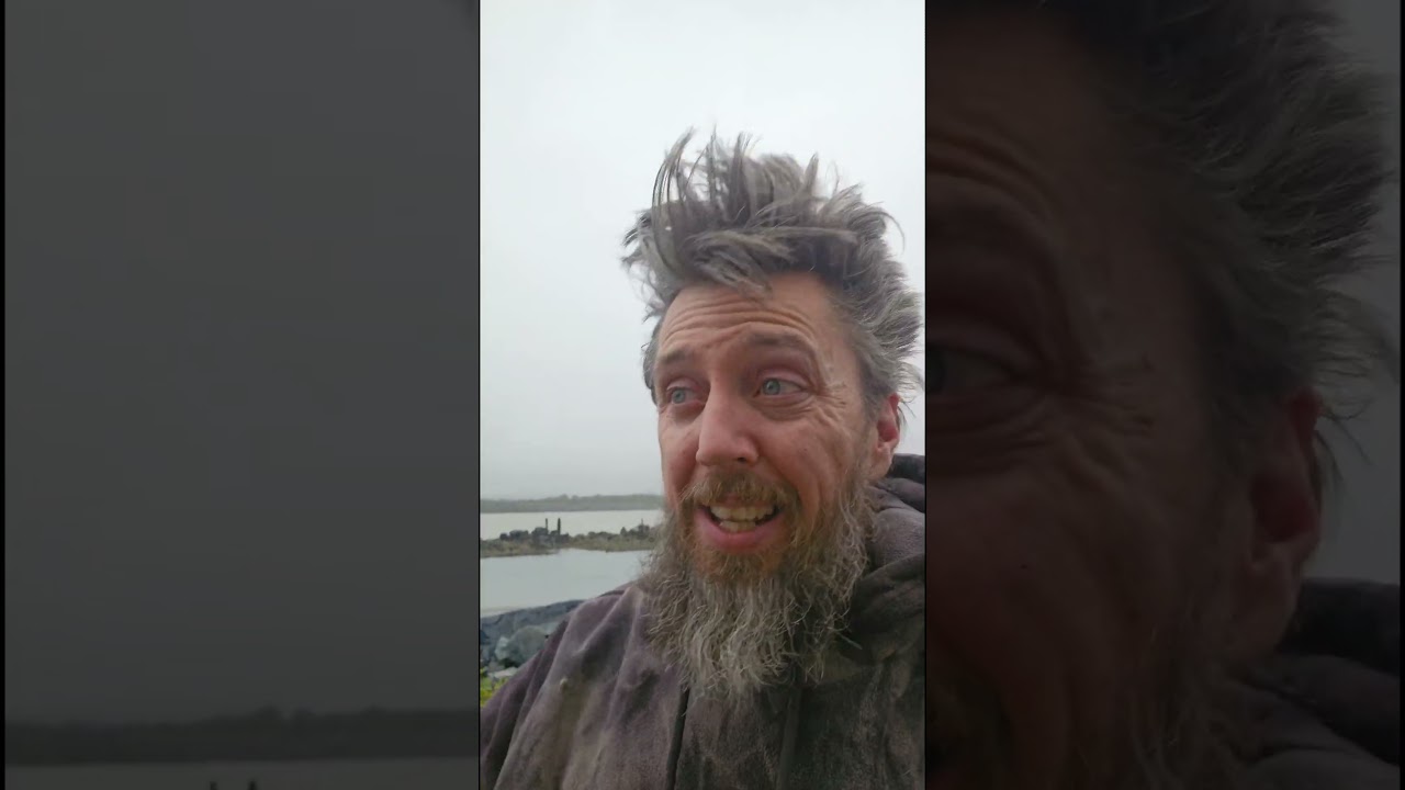 Difference between XRP, ETH, SOLANA, AND BITCOIN