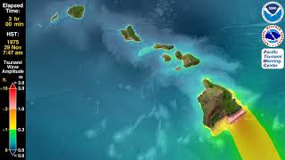 Tsunami Animation: Hawaii 1975