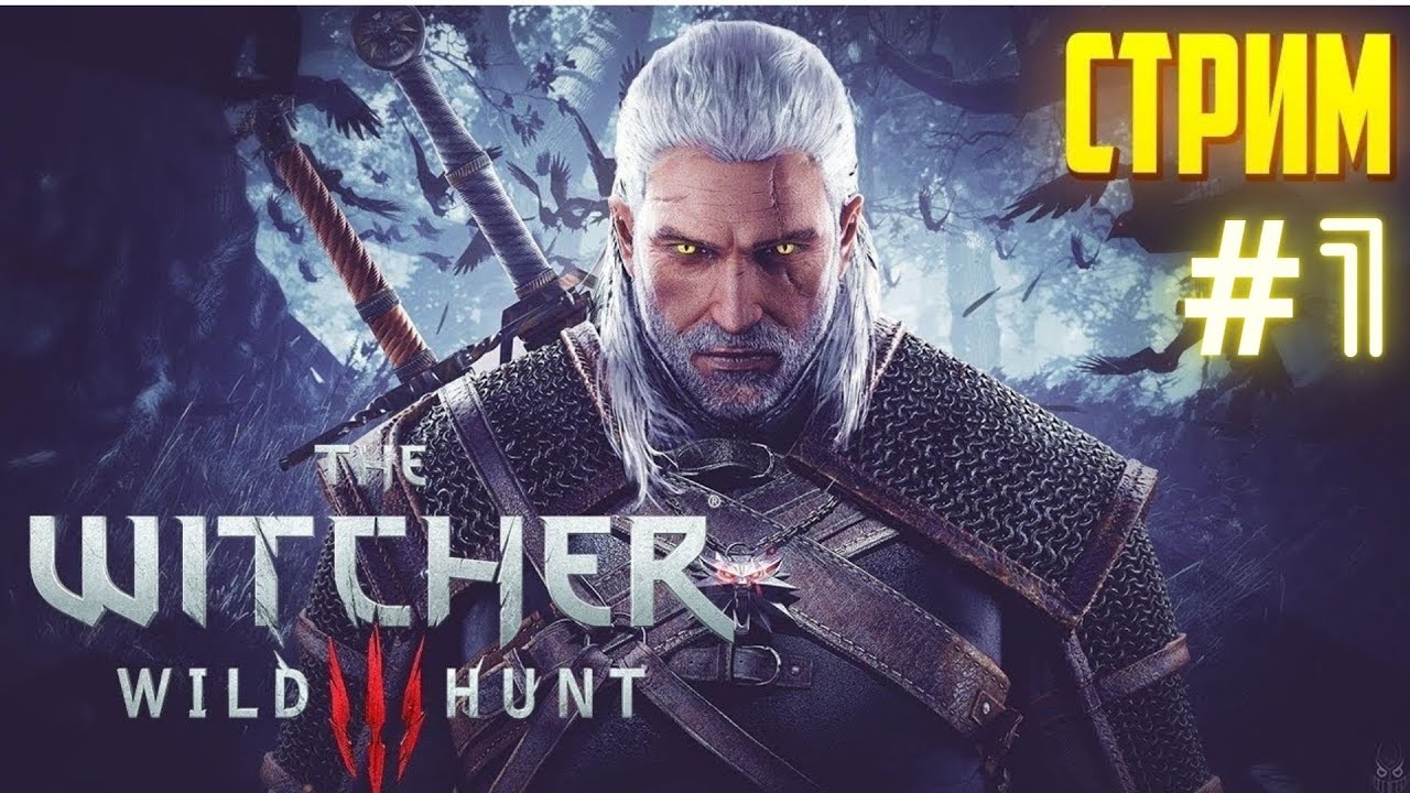 The witcher 3 стим фото 110