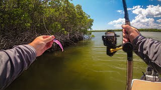 INSANE Day Fishing for Giants on my Gheenoe!! (Florida Everglades)