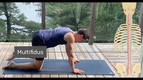 Lumbar Rotation Basics