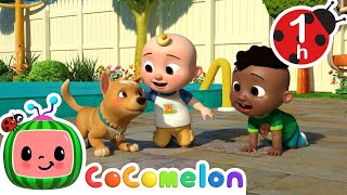 Furry Friends | CoComelon | Nursery Rhymes for Babies