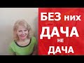 Топ-10 самые лучшие хвойные кустарники