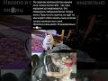 Советы зоопсихолога и неожиданный результат! Смешной мем 😅 #юмор #коты