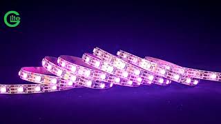 WS2812B inside IC DC5V  144leds/m  muisc led strip