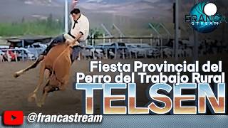 Franca Stream Fiesta Provincial Del Perro Del Trabajo Rural En Telsen