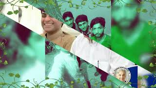 pml n song screenshot 5