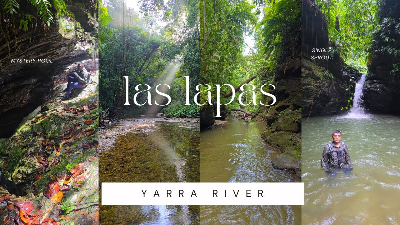 Local Secrets of the Yarra River Near Las Lapas
