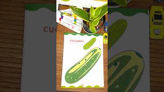 Cucumbers 🥒 are often used in salads 🥗 and sandwiches 🥪 Cucumbers 🥒 are often used in salads 🥗 and sandwiches 🥪