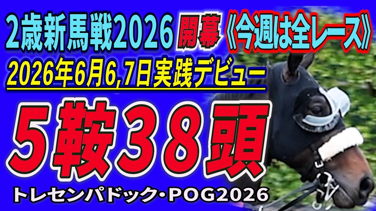 2歳新馬戦2026開幕 】5鞍出走38頭の若駒の姿を。2026年6月6