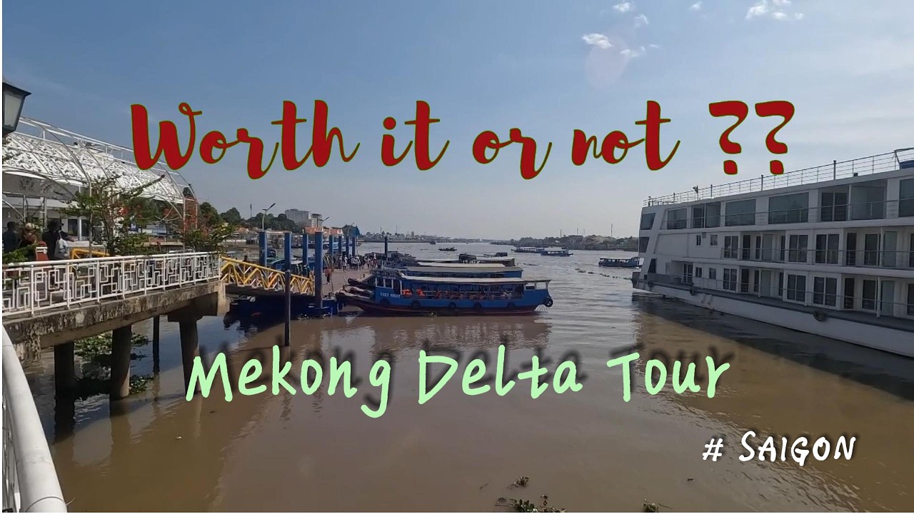 [Вьетнам] 🇻🇳 Однодневная экскурсия в дельту Меконга – стоит ли оно того? | Честная проверка реаль...