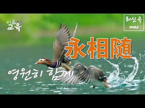 [2022新歌][중국 노래] 永相随(马智宇)_영원히 함께(마지우)|(가사, 해석, 병음)