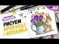 Как нарисовать крокусы и кролика? / Видео-урок по рисованию маркерами #163