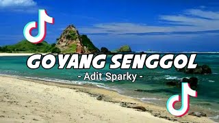 DJ VIRAL TIKTOK - Goyang Senggol_Adit Sparky 2022 NewRmx!!!