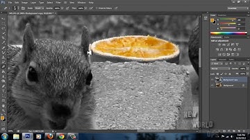 Adobe Photoshop CS6 - Color Splash Effect Beginners Tutorial Photoshop
