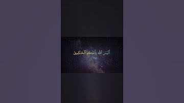 سورة الزيتون🤲🏻