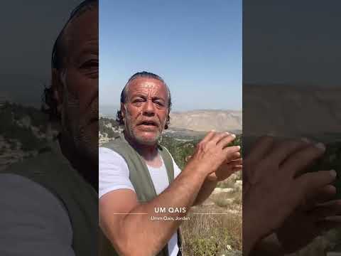 الاردن اربد ام قيس نهر اليرموك الجولان بحيرة طبريا