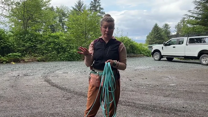 Long Line Handling for Conservation Detection Dogs: Simple Demo