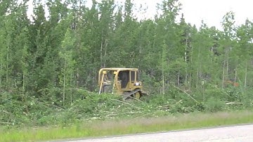 Bulldozer knocking down trees