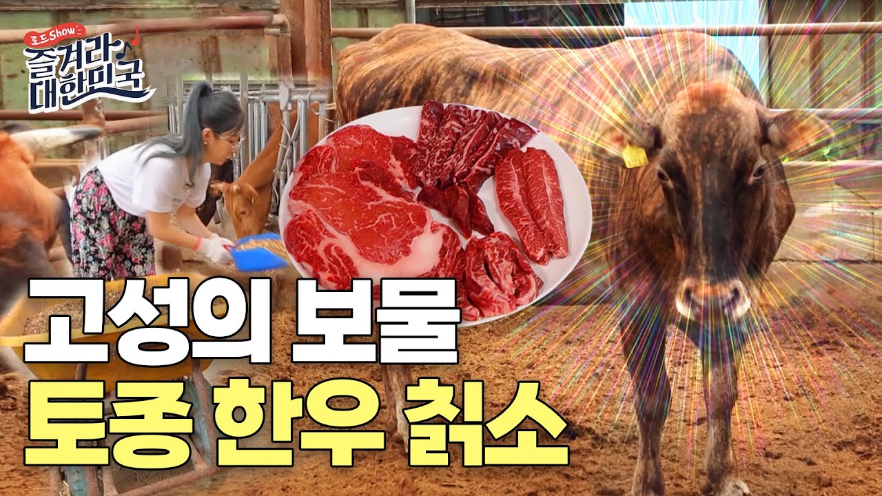 고성의 보물! 토종 한우 칡소ㅣ제철미각ㅣ즐겨라 대한민국 - YouTube