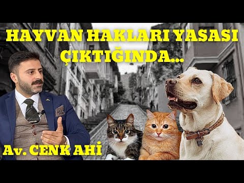 Video: Hangi Eyaletler En İyi Hayvan Koruma Yasalarına Sahiptir?