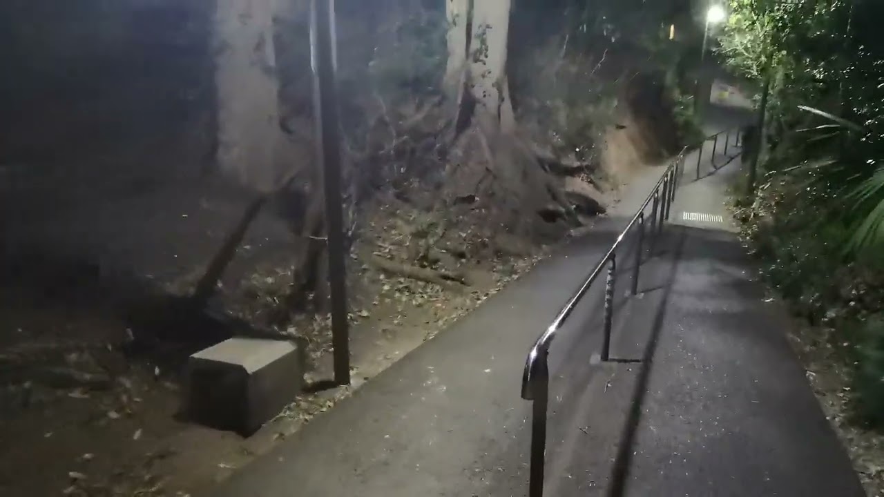 Peaceful Sunset Walk: Exploring a Japanese Neighborhood in Koya, Matsudo