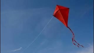 Sawa leka do.rengko bildoatchengaha/Rubber baloonko / Microscopeko tarichengaha?