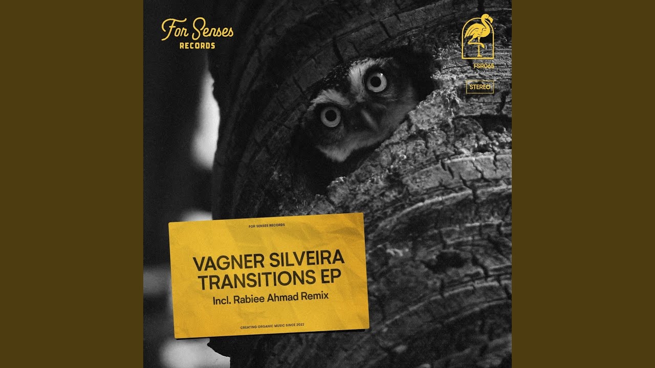 Watch Transitions on YouTube Watch Transitions on YouTube