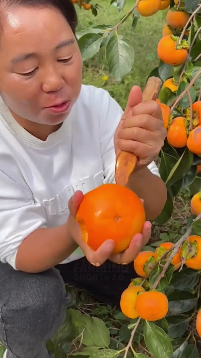 Mix Fruit Bowl in 30 Seconds 🥝🍊🍇'#FruitMix #HealthyShorts #ViralShorts
