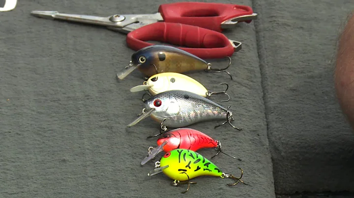 5 Proven Crankbait Colors That Catch Bass
