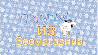 Покупки из зоомагазина. Предновогодние покупки для грызунов🐰, улиток🐌 и кошек🐱