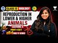 HSC Class 12 Biology | Reproduction in Lower & Higher Animals | Lec 4 | MHT CET 2027 | Pranita Ma'am