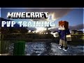 PvP Training #2 w/RIL