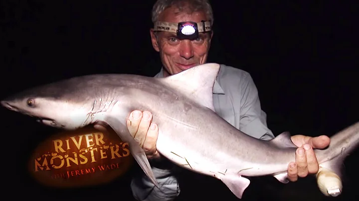 Catching A Freshwater Bull Shark | SHARK | River M...