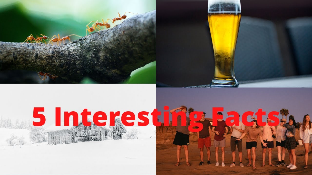 5 Interesting Facts in the world that blow your mind ll World Facts ...