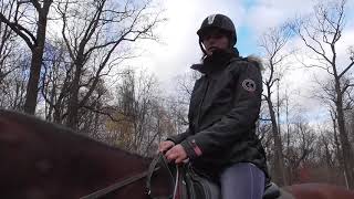 Уроки верховой езды. Галоп. Упражнения для всадника. Уроки верховой езды. Галоп. Упражнения для всадника.