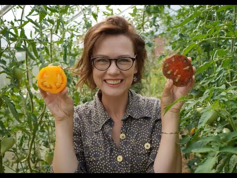 Lina’s Yellow Wheelbarrow