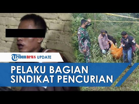 Video: Adakah sasha pada mangsa yang ditetapkan?