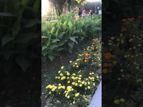 The Tomb Of Habakkuk The Prophet Tuyserkan Iran