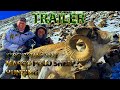 TRAILER - Marco Polo sheep hunting in Kyrgyzstan-2022