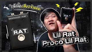 lil rat | ไอ้หนูน้อยพลังช้าง เจ้าตำนาน underground