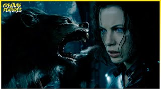 The Hybrids Attack Selene | Underworld: Evolution | Creature Features