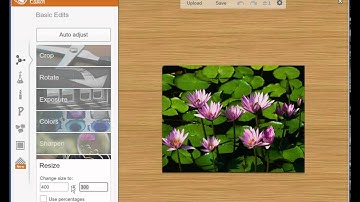 Resizing an Image Using PicMonkey