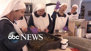Meet The Weed Nuns Who Put Faith In The Healing Powers, And Profits, Of Cannabis